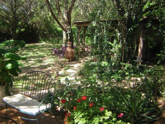 Casa del Sol Bed&Breakfast Lakeway Camera foto
