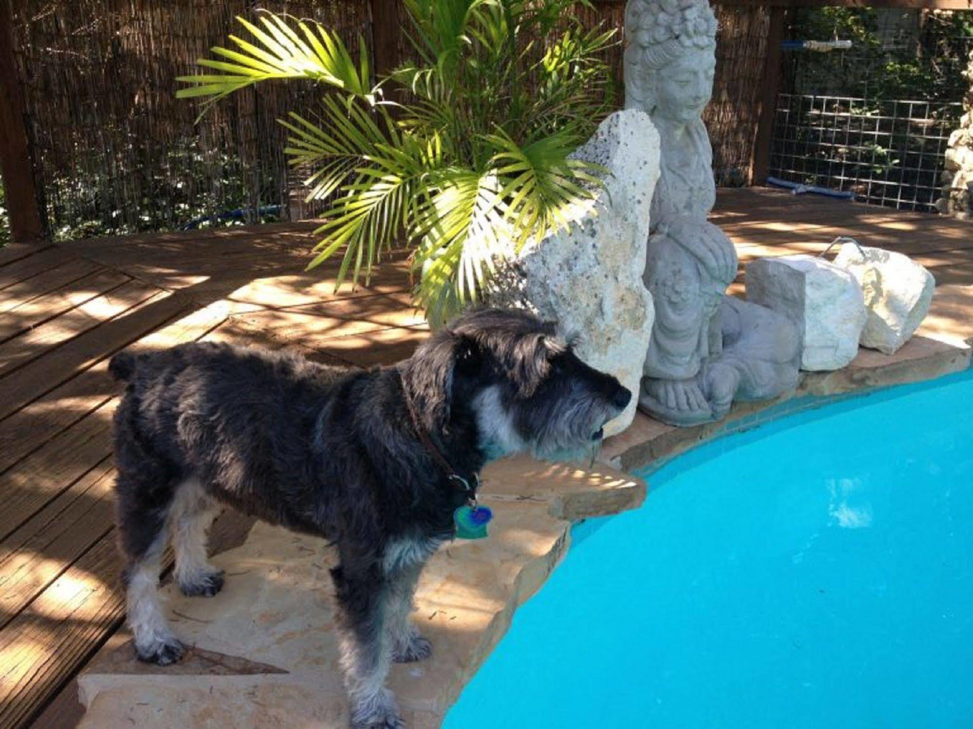 Casa del Sol Bed&Breakfast Lakeway Esterno foto
