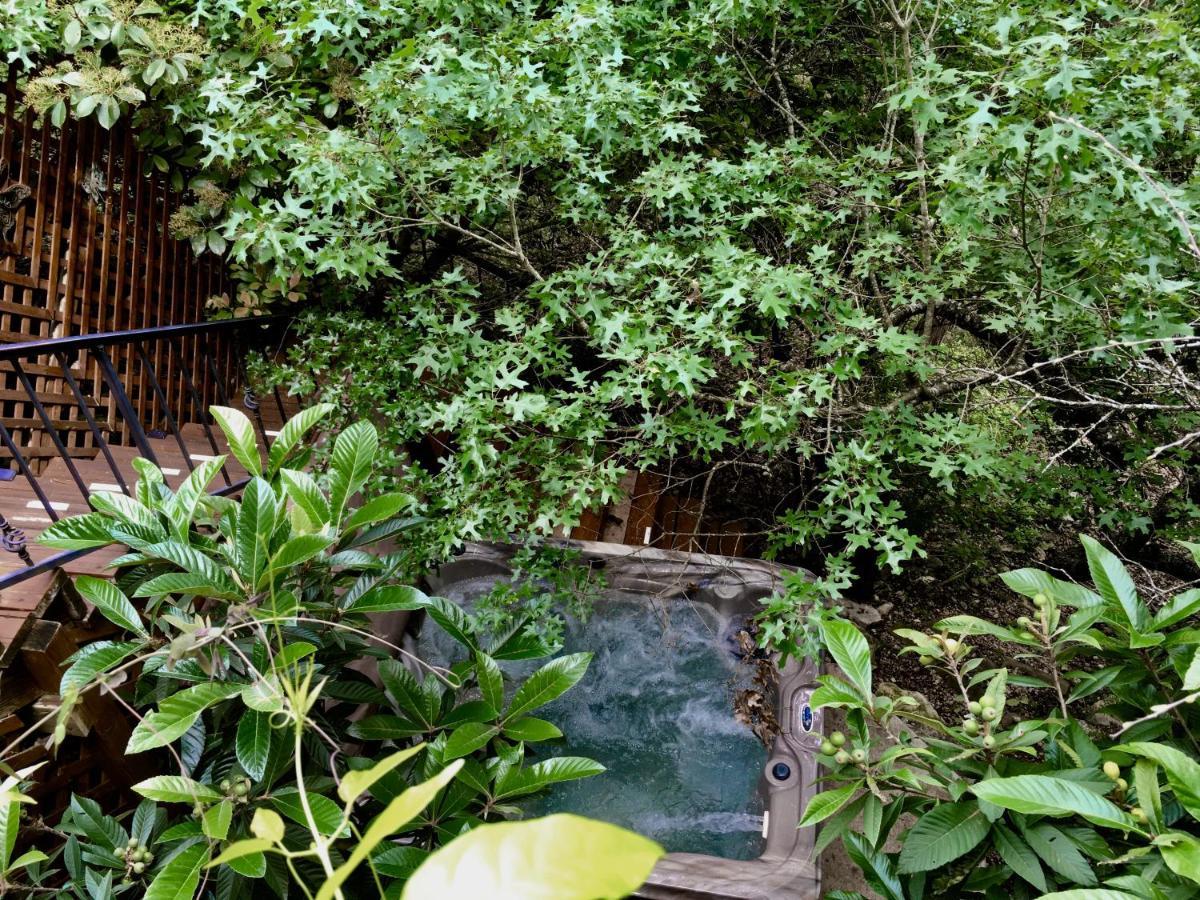 Casa del Sol Bed&Breakfast Lakeway Esterno foto