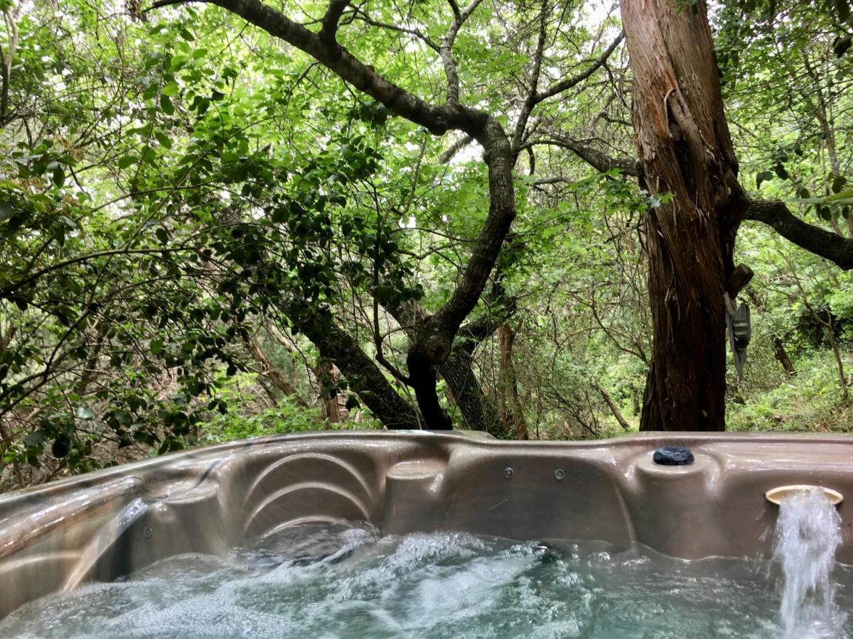 Casa del Sol Bed&Breakfast Lakeway Esterno foto